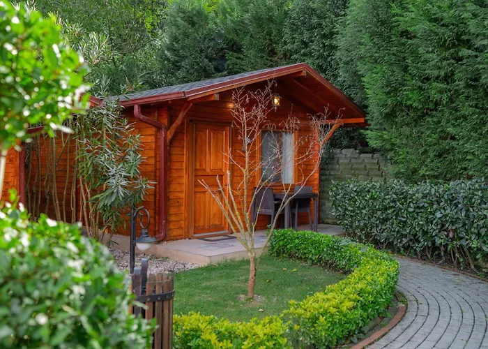 Alfa Suites & Spa